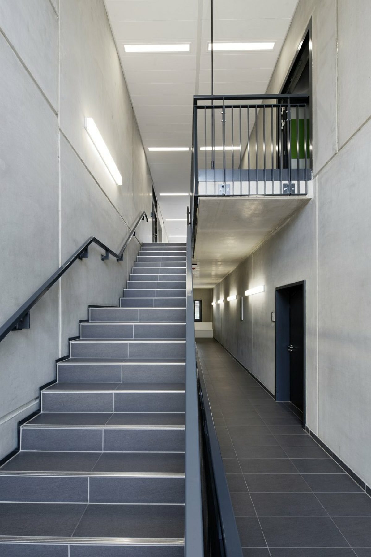 007 Wankerl Trier FW